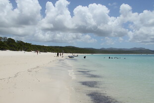 美丽的白色沙滩海滨风光