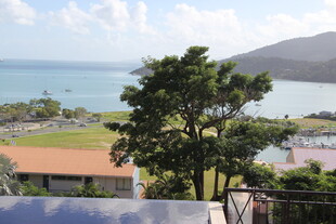 海边景致 绿树红顶房屋