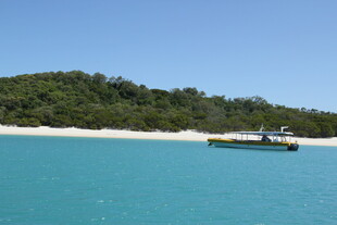 碧海沙滩旁的船只