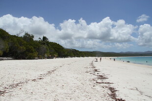 美丽的白色沙滩海岸线
