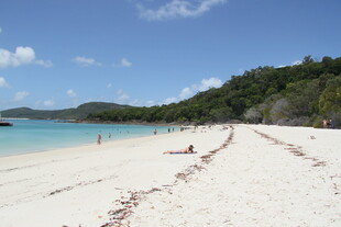 美丽的白色沙滩海滨风光