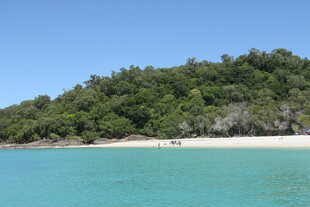 美丽海岛风光 碧海绿树