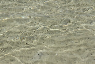 清澈水底的细腻沙纹