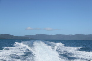 海上快艇破浪前行