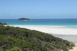 美丽海滨风光 葱郁植被