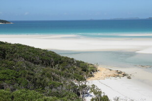 美丽海滨风光 绿植伴沙滩