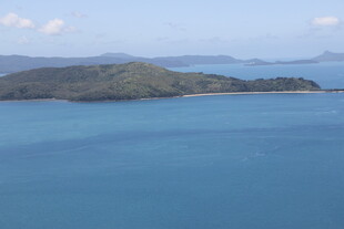 蓝色海域中的翠绿岛屿
