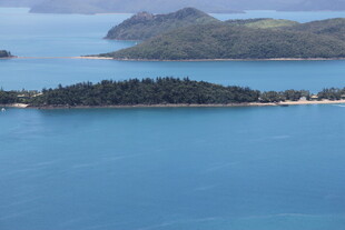 蓝色海域中的葱郁小岛