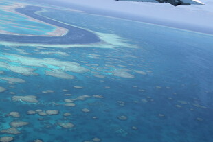 俯瞰美丽的海洋珊瑚礁