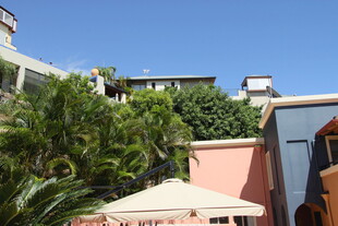 多彩建筑旁的绿植景观