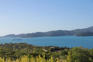 美丽湖景与周边葱郁植被