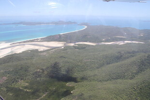 俯瞰海岸与茂密山林景观