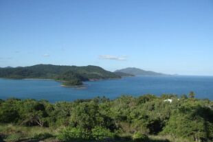 海滨绿意盎然的秀丽风光