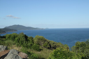 海岸边葱郁植被与辽阔海景