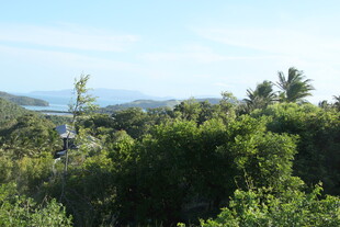 俯瞰葱郁植被与远处海景