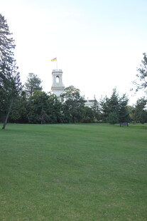 开阔草坪与远处塔楼景观