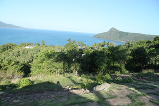 海边绿意盎然的自然风光