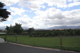 乡村公路旁的开阔田园风光