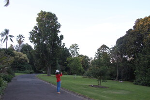 漫步林间小道的红衣行人