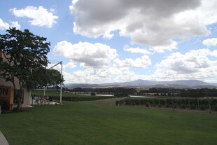 户外开阔草地与蓝天白云