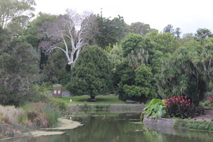 宁静河畔绿意盎然的景致