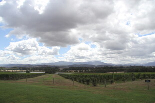 广袤田园风光 云绕远山