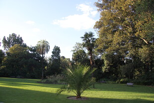 绿意盎然的户外园林景观