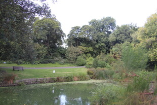 湖畔绿意盎然的自然景致