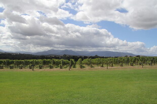 广袤绿野与远处山峦