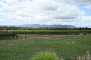 田园风光 广袤绿野与远山