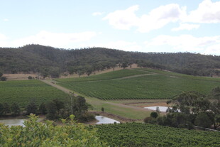 田园风光中的绿色山丘美景