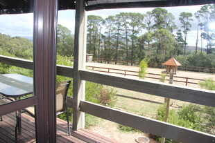 阳台外的自然牧场风光