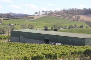 乡村葡萄园中的绿色建筑