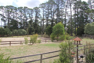 乡村田园风光 宁静小院
