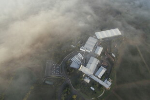 云雾中若隐若现的建筑群