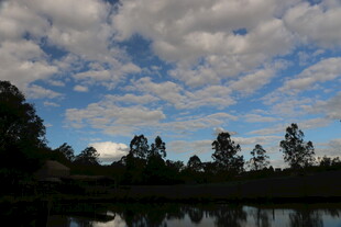 湖畔蓝天绿树风景如画