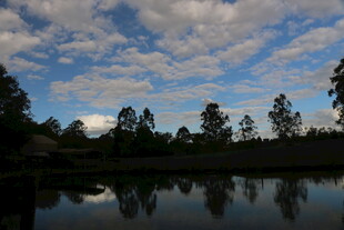 湖畔树林与天空倒影美景