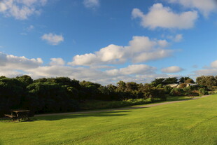 蓝天绿地间的美丽自然景观