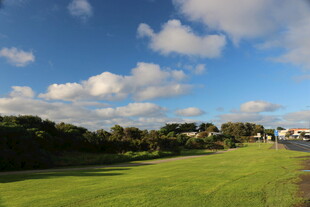 蓝天绿地间的美丽风光