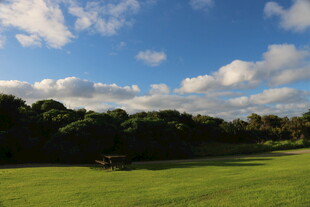 蓝天绿地间的自然美景
