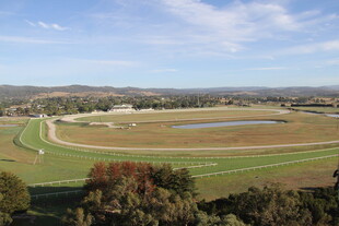 秋日广袤田野风光