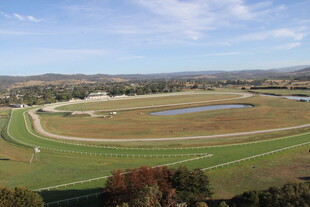 广阔赛马场全景风光