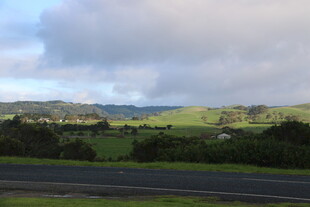公路旁的田园风光美景