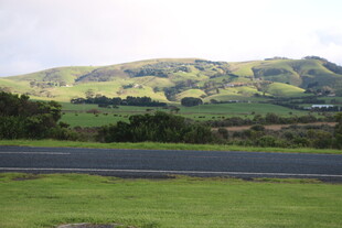 公路旁的翠绿山丘景观