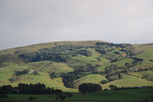 绿意盎然的丘陵风光