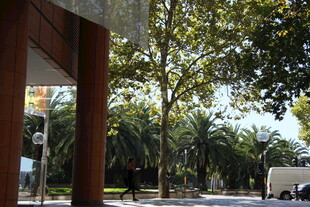 户外林荫下的建筑景观