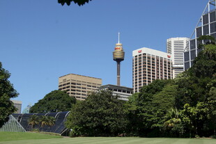 悉尼城市景观与绿植