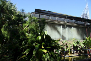 户外绿植环绕的建筑景观