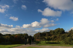 漫步林间小道的惬意时光