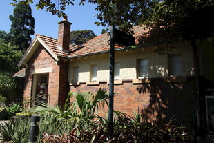 红砖小屋 隐于绿植之间